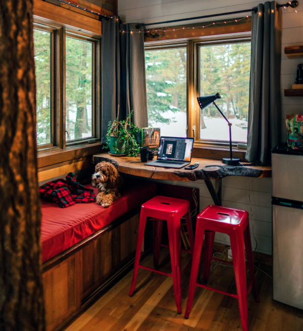 Office setup in a Kitset cabin